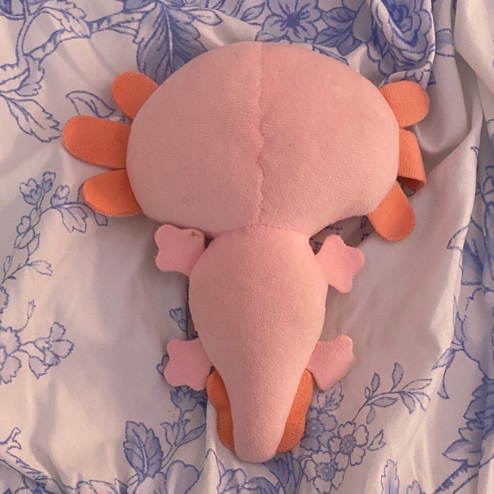 Adorable Pink Plush Axolotl - Picture 2 of 5